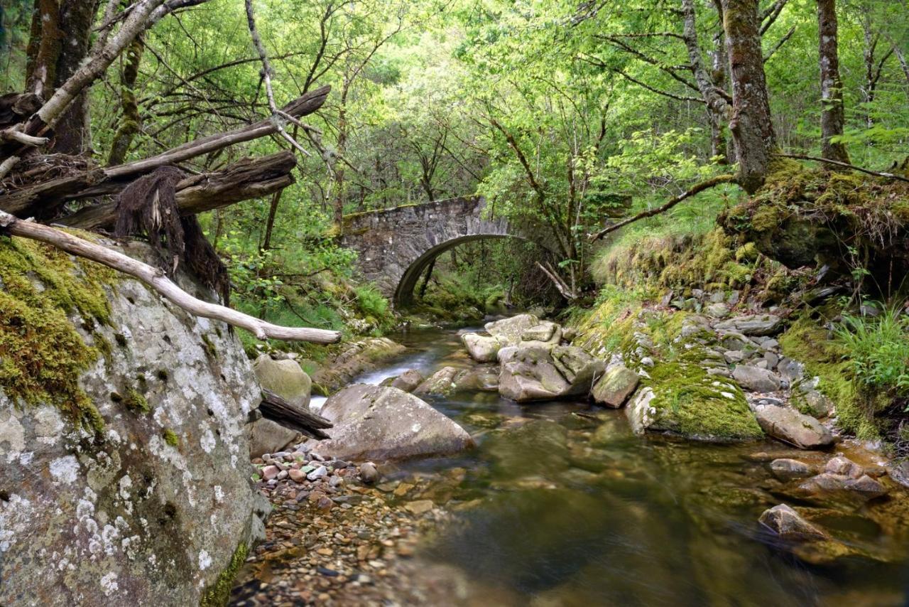 La Posada De Oscos Santa Eulalia de Oscos Εξωτερικό φωτογραφία