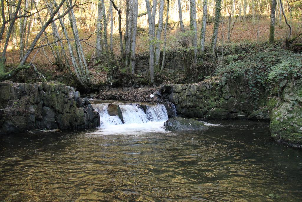 La Posada De Oscos Santa Eulalia de Oscos Εξωτερικό φωτογραφία